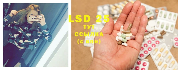 ECSTASY Новозыбков