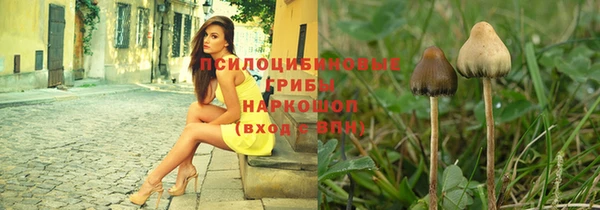 марки lsd Нея