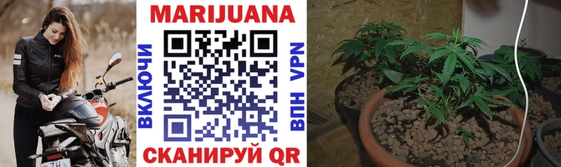продажа наркотиков  Поронайск  МАРИХУАНА LSD WEED 